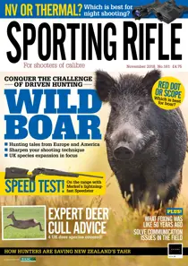 November 2018 
                issue November 2018