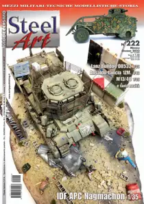 222 
                issue 222