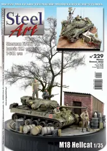 229 
                issue 229