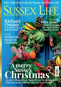 December 2025 
                issue December 2025