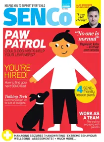 Teach Primary SENCo 4