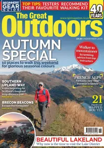 November 2018 
                issue November 2018