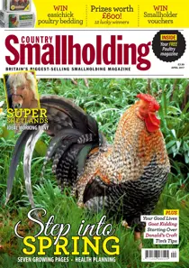 Apr-17 
                issue Apr-17