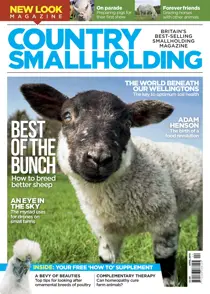 April 2019 
                issue April 2019