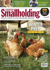 December 2015 
                issue December 2015