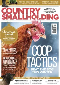 December 2019 
                issue December 2019