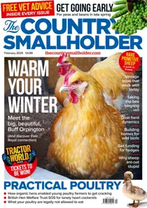 Feb-25 
                issue Feb-25