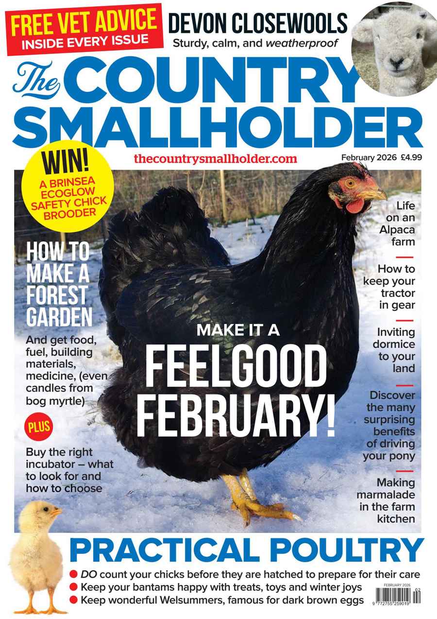 The Country Smallholder issue Feb-26