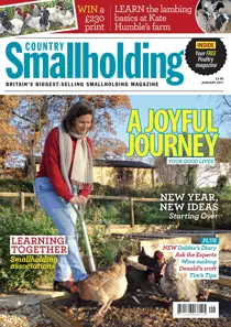 January 2017 
                issue January 2017