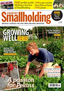 Jul-17 
                issue Jul-17