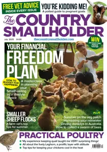 Jul-25 
                issue Jul-25