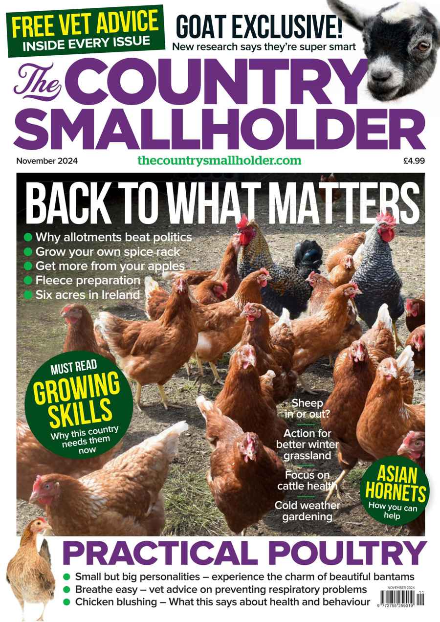 The Country Smallholder issue Nov-24