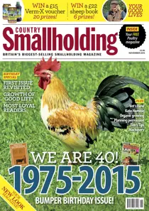 November 2015 
                issue November 2015