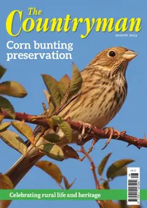 The Countryman August 2023