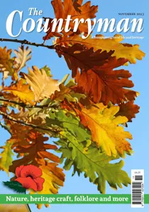 The Countryman 
                issue The Countryman