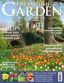 April 2017 
                issue April 2017