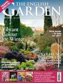 February 2017 
                issue February 2017