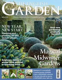 January 2017 
                issue January 2017