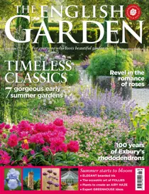 June 2019 
                issue June 2019