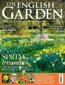 Mar-23 
                issue Mar-23