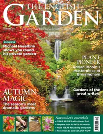 November 2016 
                issue November 2016