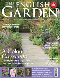 October 2020 
                issue October 2020