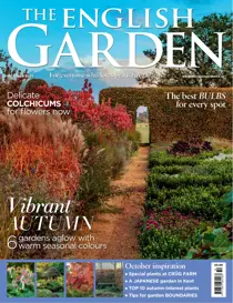 October 2025 
                issue October 2025