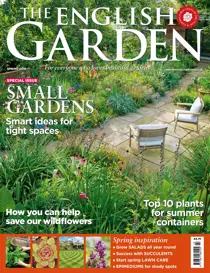 Spring 2019 
                issue Spring 2019