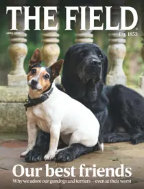 Apr-2020 
                issue Apr-2020