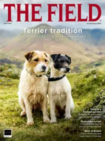 Apr-2021 
                issue Apr-2021