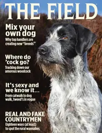 April 2014 
                issue April 2014