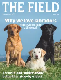 April 2016 
                issue April 2016