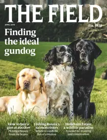 April 2019 
                issue April 2019