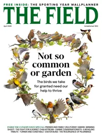 The Field 
                issue April 2026