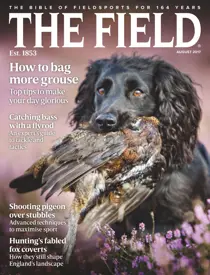 August 2017 
                issue August 2017