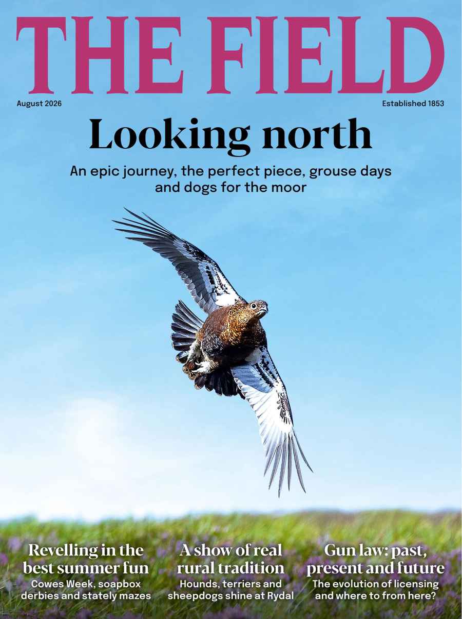 The Field issue August 2026