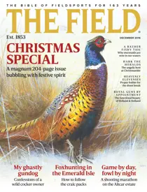 December 2016 
                issue December 2016