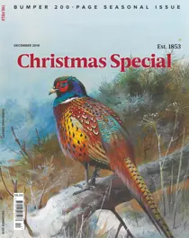 December 2019 
                issue December 2019