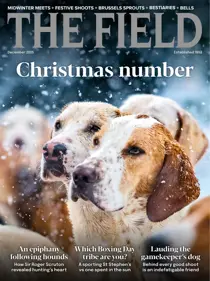 The Field 
                issue December 2025