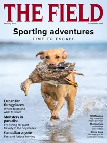 Feb-22 
                issue Feb-22