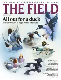 February 2017 
                issue February 2017