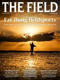 The Field 
                issue February 2026