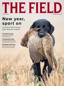 Jan-2021 
                issue Jan-2021