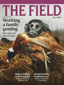 January 2019 
                issue January 2019