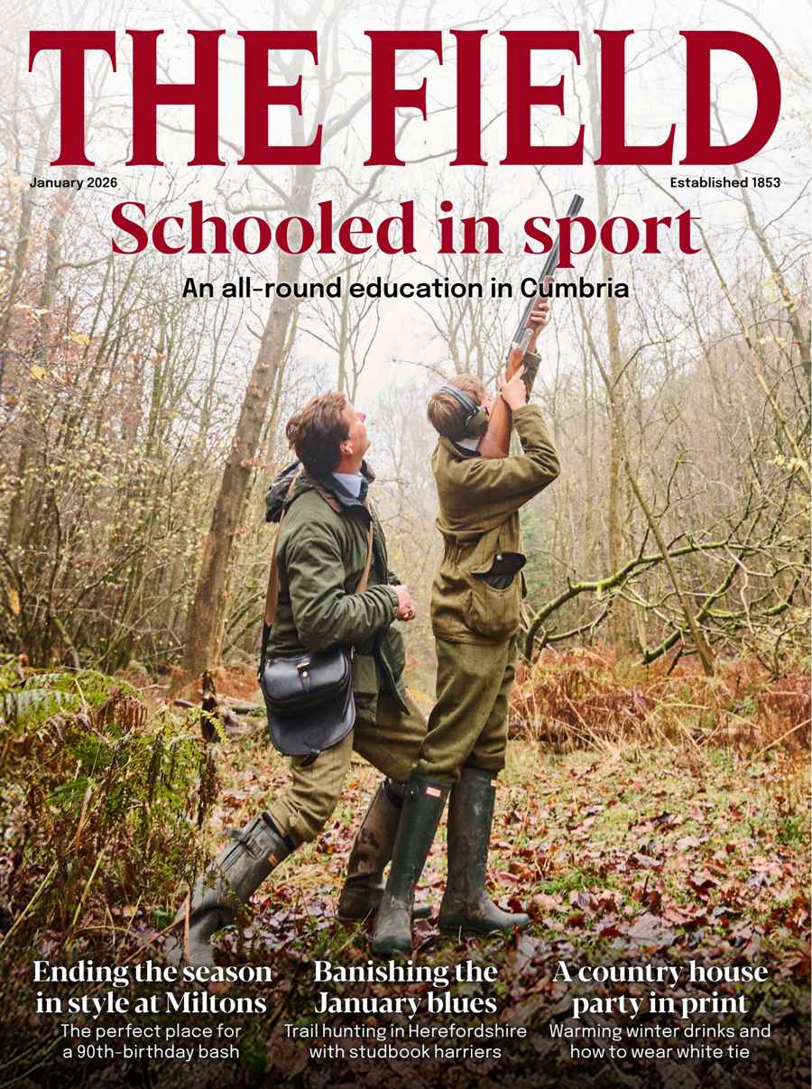 The Field issue January 2026