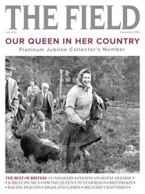 Jun-22 
                issue Jun-22