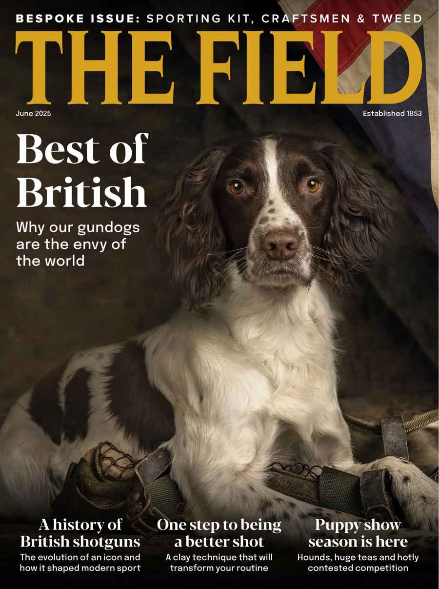 The Field issue June 2025