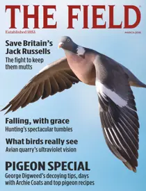 March 2016 
                issue March 2016