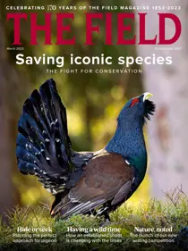 March 2023 
                issue March 2023