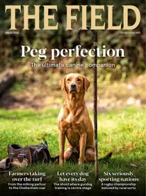 The Field issue March 2026